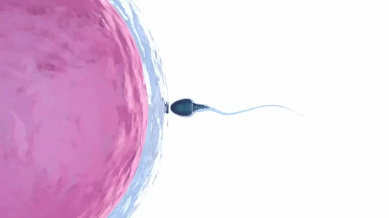 How To Treat Signs Of Infertility In Women