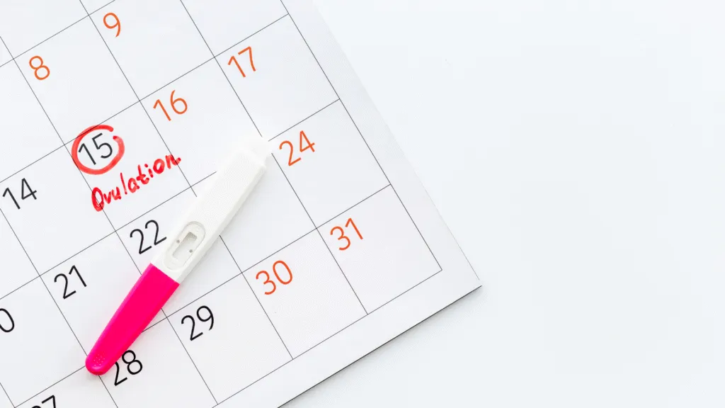 understanding ovulation and faq feature image