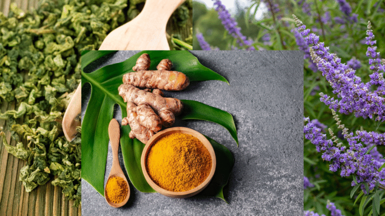 Herbal Remedies for Fibroids feature image