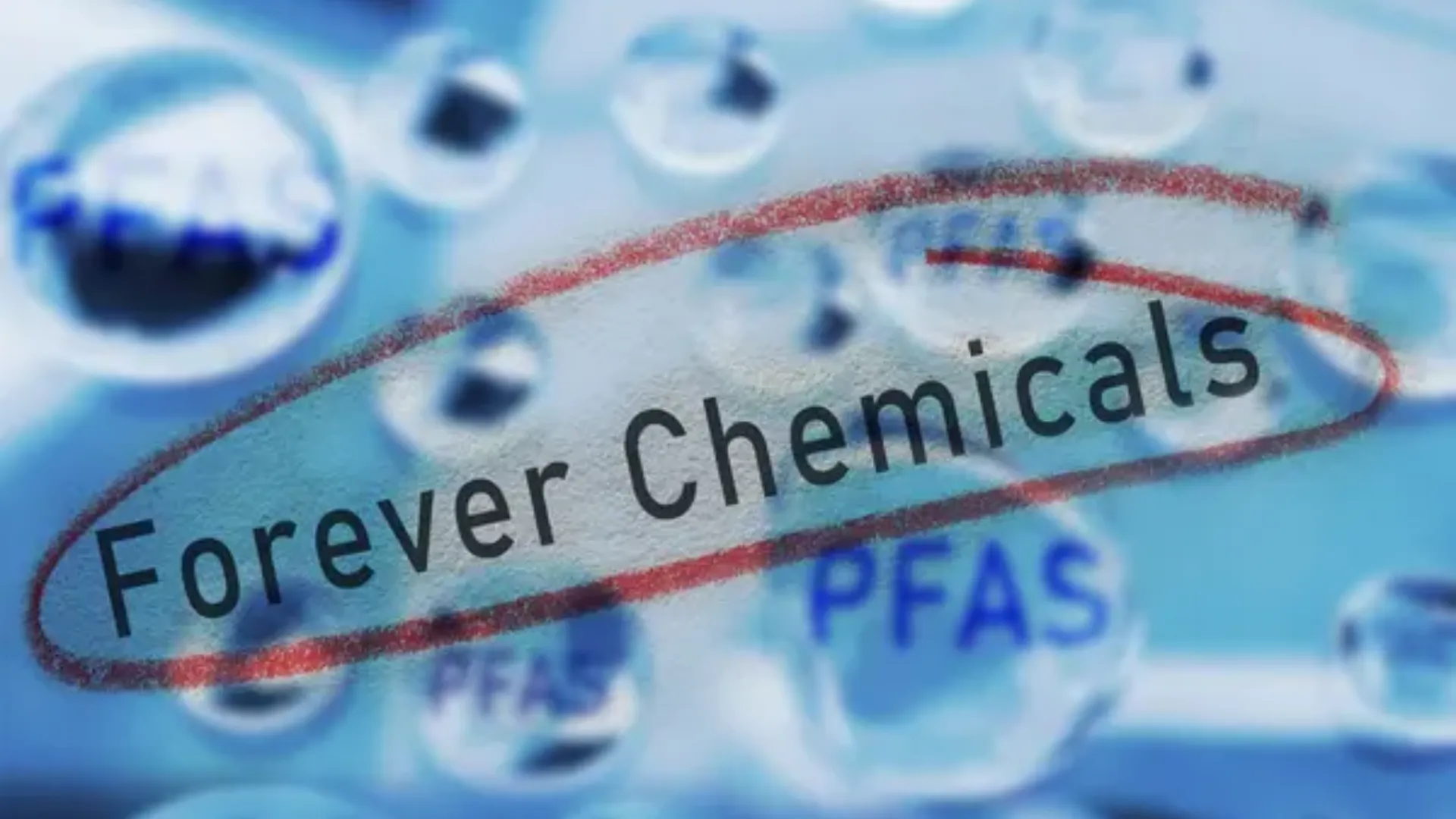 PFAS endocrine disruptors Doc. P Feature Image