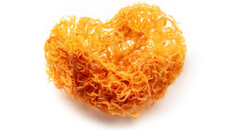 sea moss benefits for women feature image