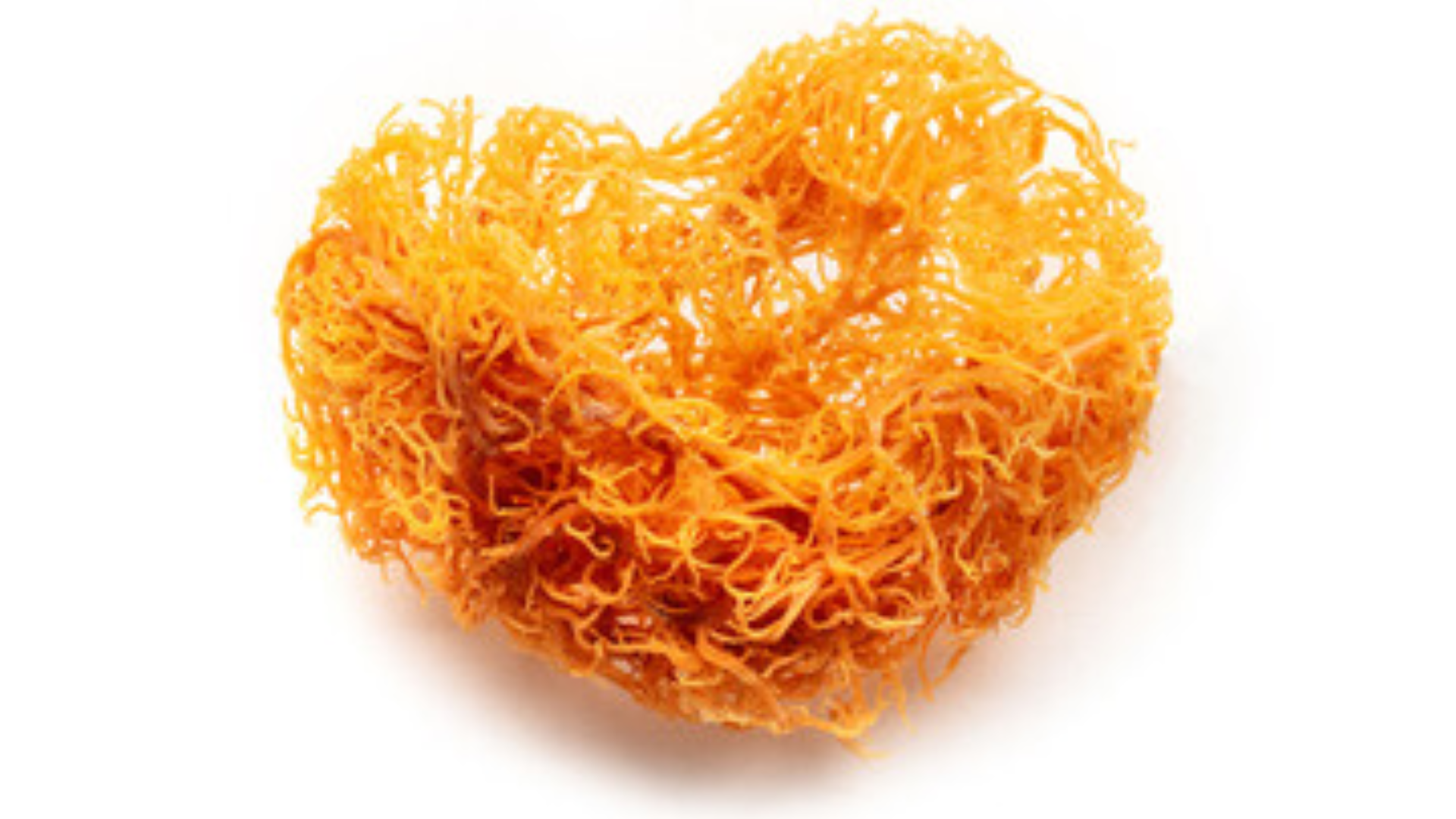 sea moss benefits for women feature image