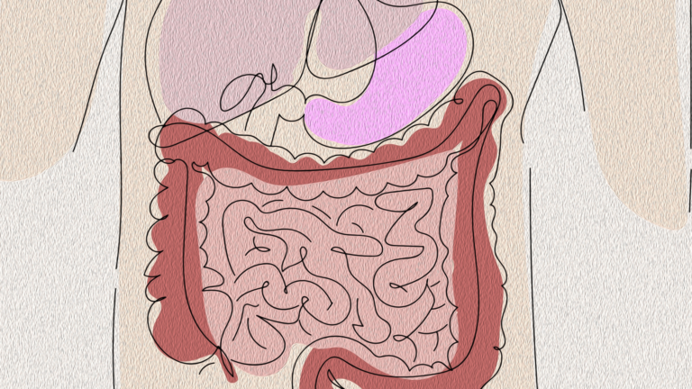 gut health feature image