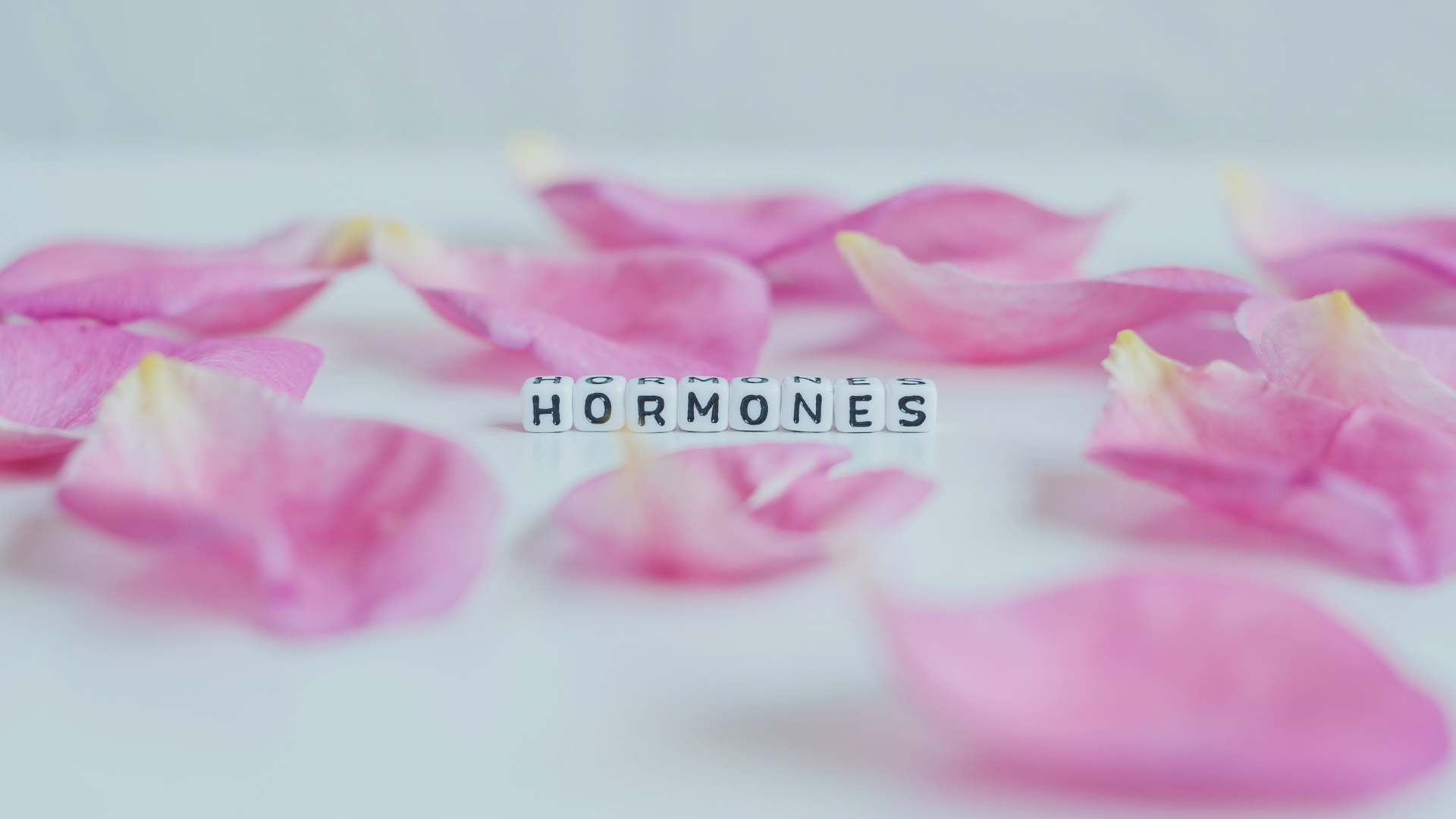 Common Hormone Imbalances feature image