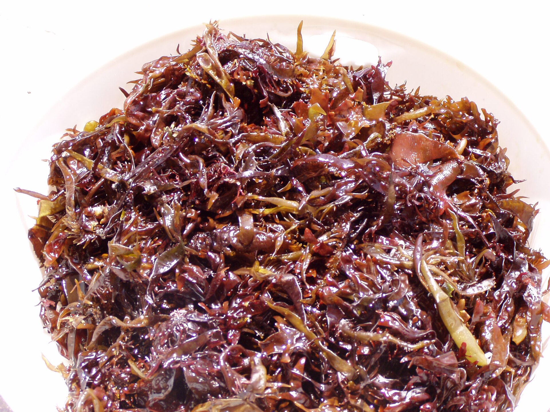 Close view of edible red seaweeds on a white plate