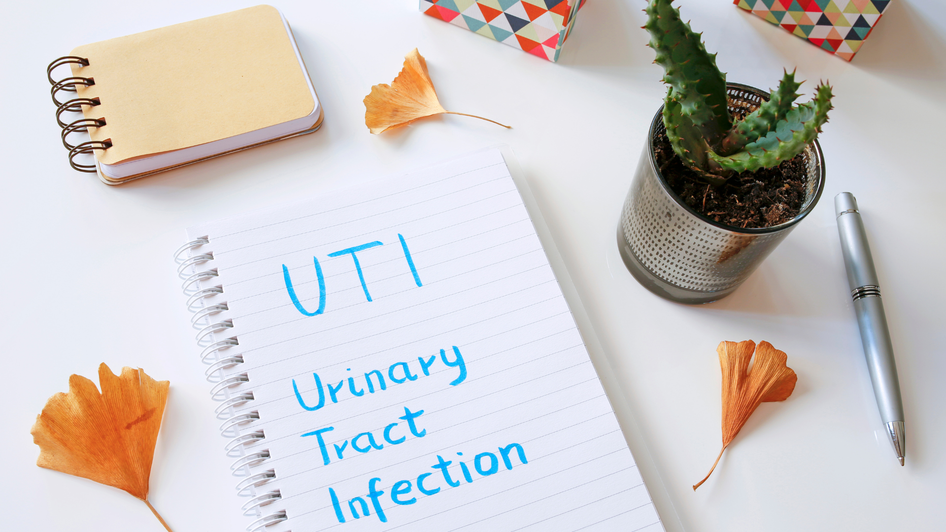 Recurring UTIs feature image