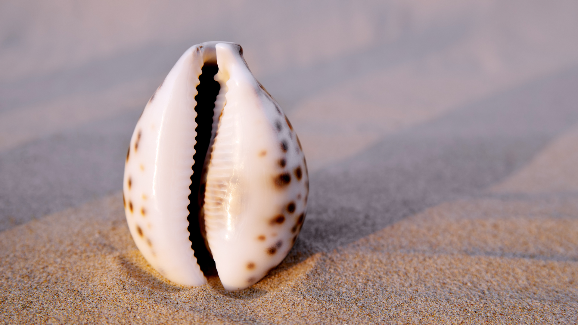 summer vagina care feature image