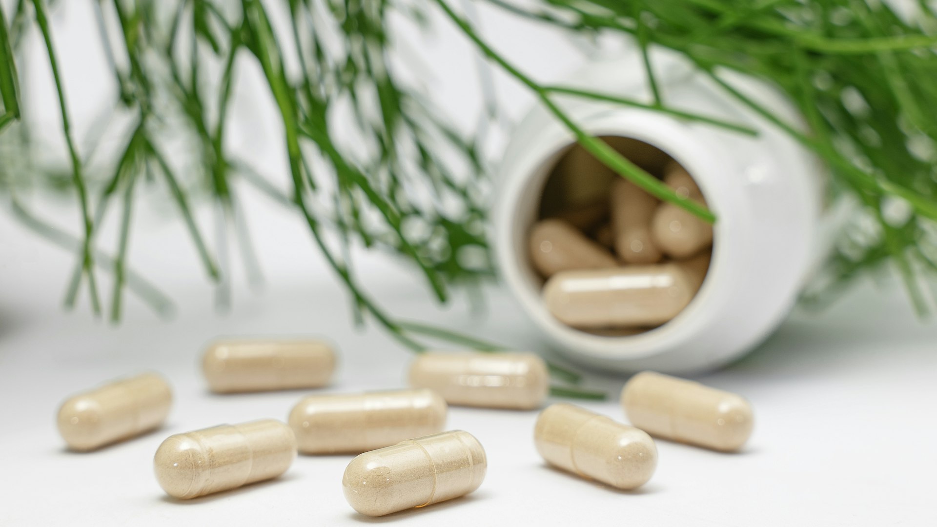 Beige probiotic-style capsules spilled from an unlabeled white bottle beside green foliage
